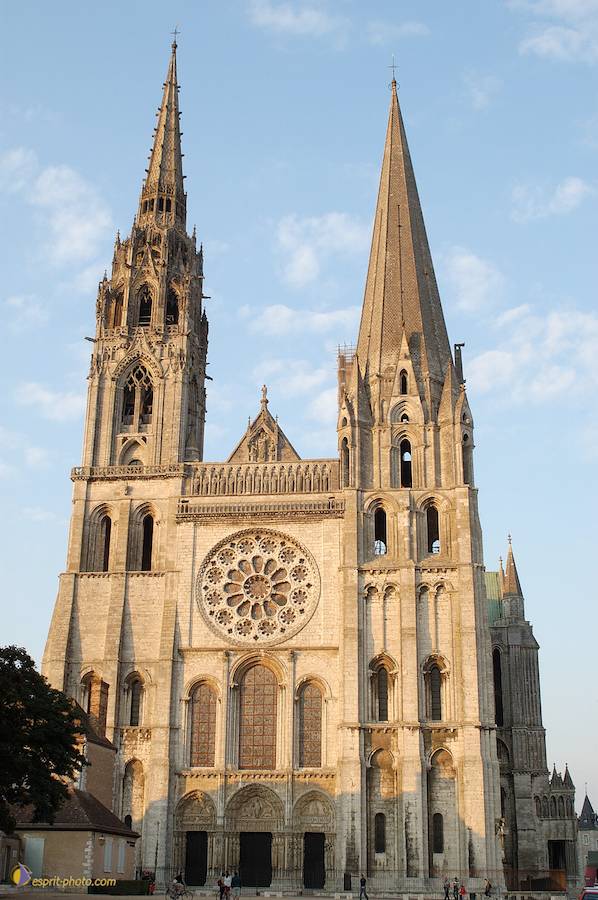 Nom de l'image : D1066667-nef_(c)Norbert-JUNG — Description :